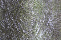 Marrick fibreglass roof work